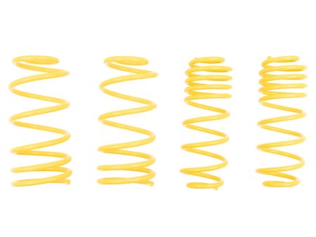 ST Muscle Car Springs Ford Mustang For Discount