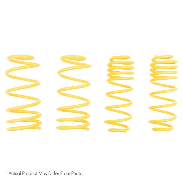 ST Muscle Car Springs 67-72 Chevy Malibu El Camino Monte Carlo Supply